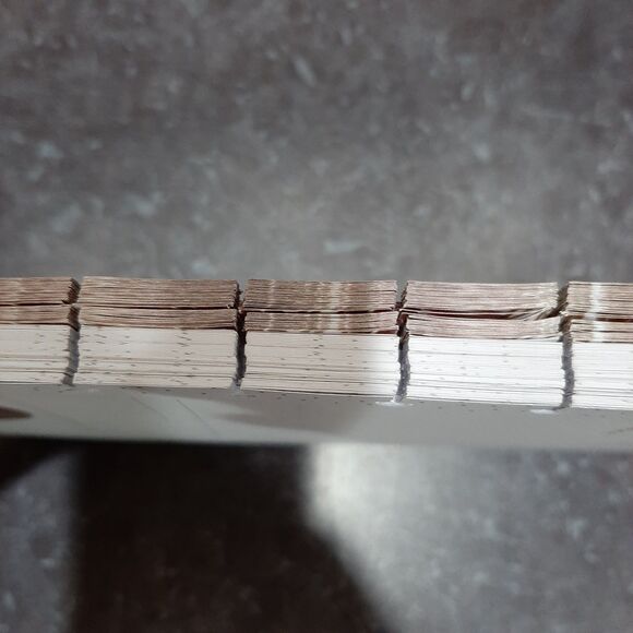 Planner Destash Happy Planner Classic Daily and Weekly Pages - Picture 5 of 5